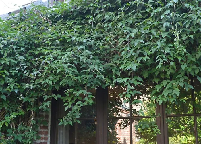 Maison De Pêcheur - 250 M - Terrasse Privée Casa de Férias *